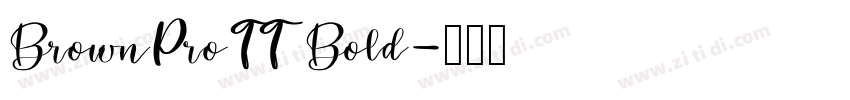 BrownProTT Bold字体转换
